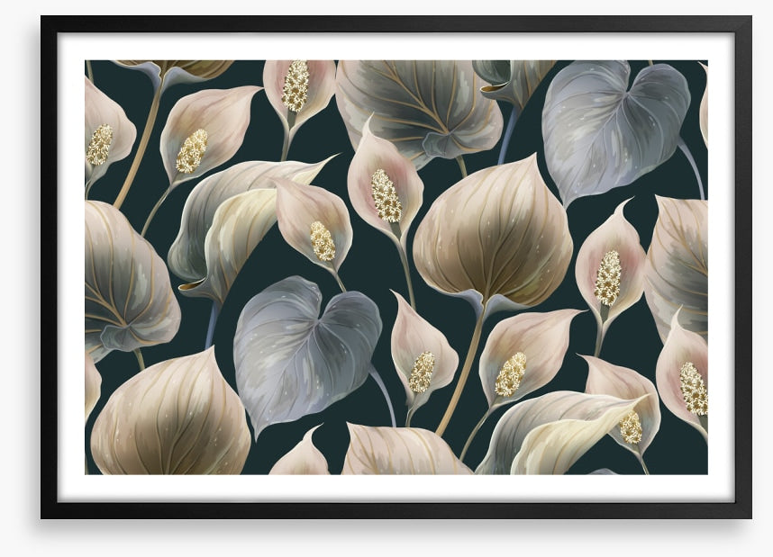 Calla lily moonlight