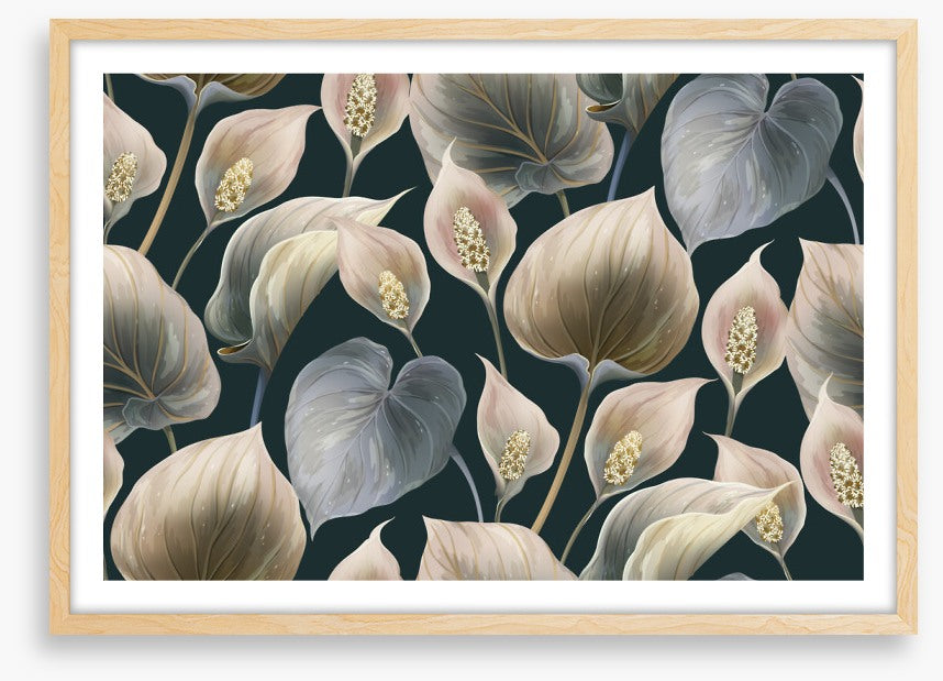 Calla lily moonlight