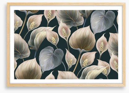 Calla lily moonlight