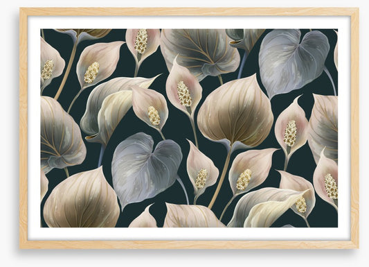 Calla lily moonlight