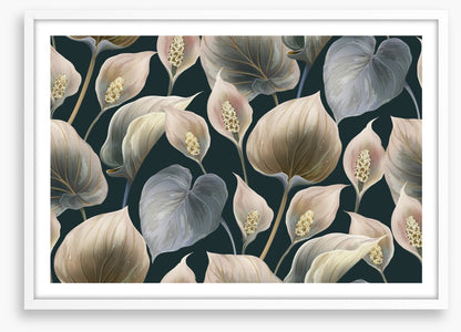 Calla lily moonlight