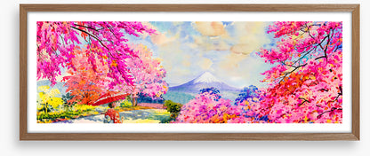 Spring peak panorama