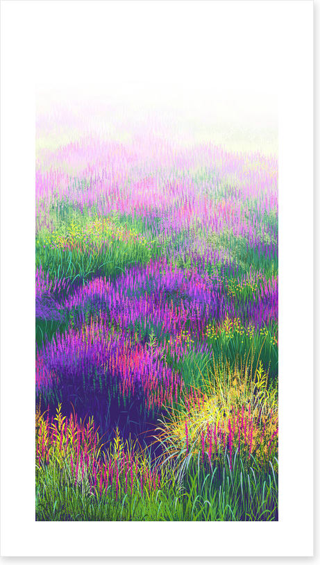 Lavender in the light
