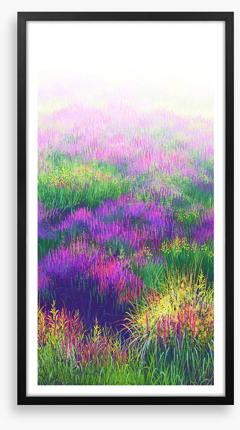 Lavender in the light