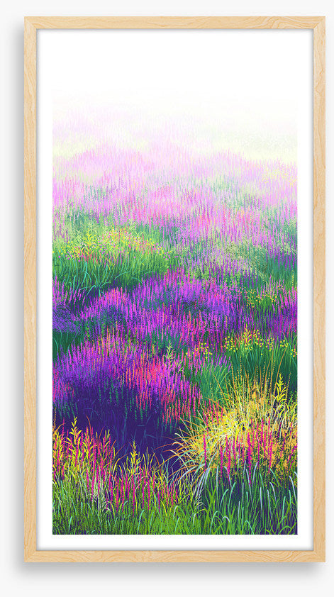 Lavender in the light