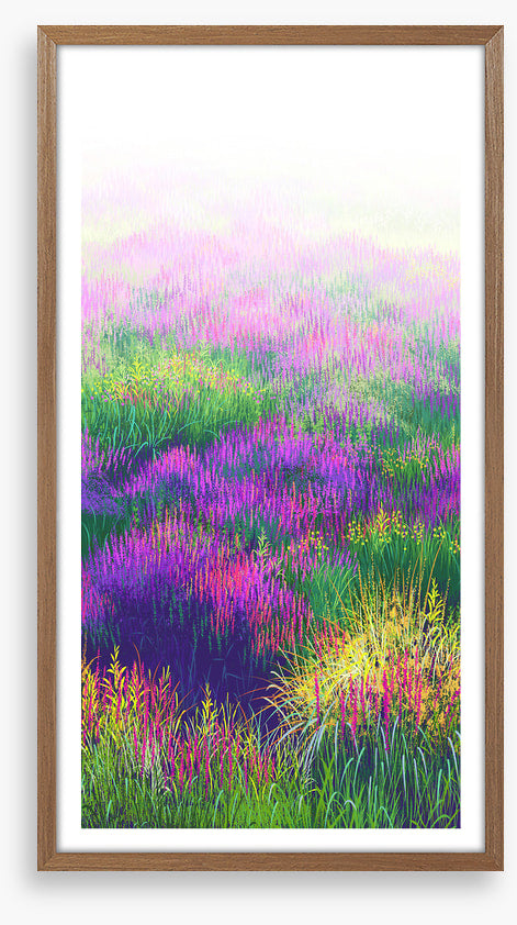 Lavender in the light