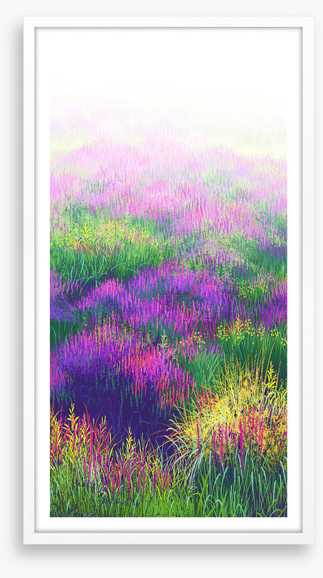 Lavender in the light