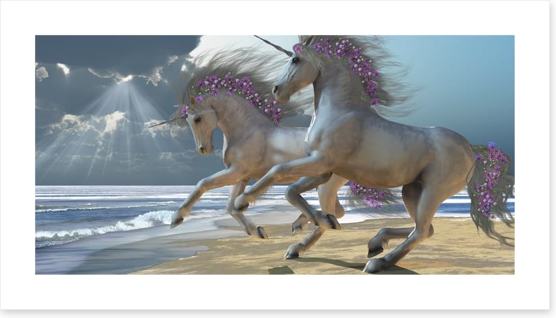 The unicorn beach