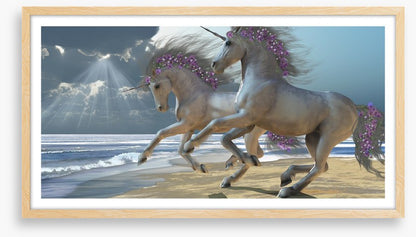 The unicorn beach