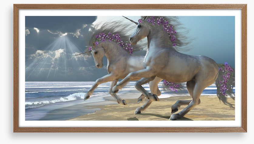The unicorn beach