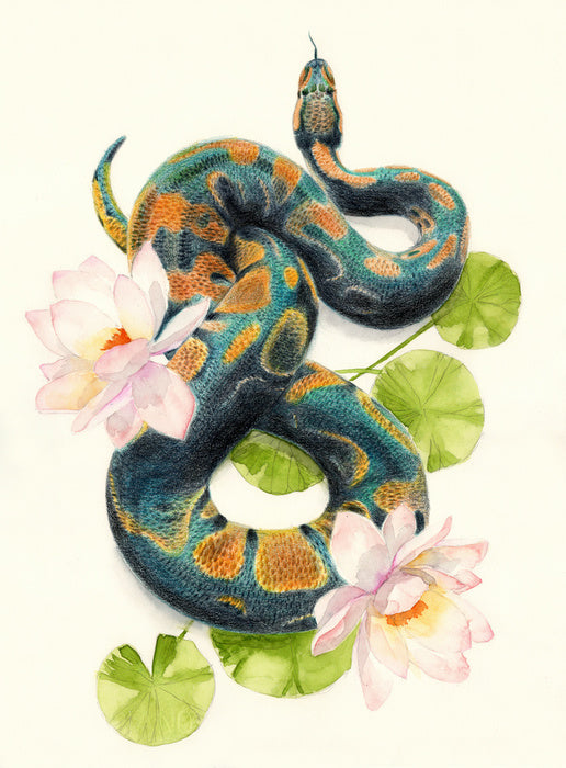 Snake in the lotus