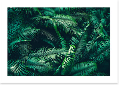 Feeling ferny