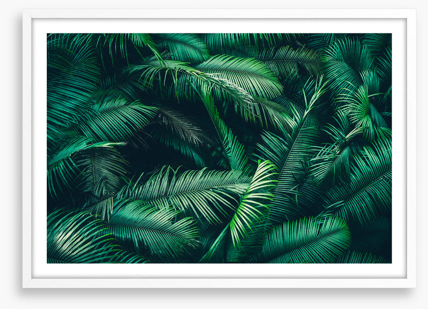 Feeling ferny