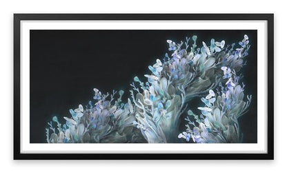 Coral me blue