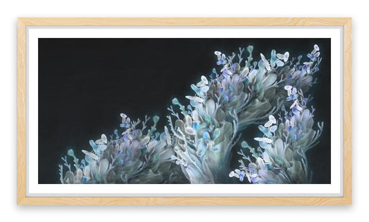 Coral me blue