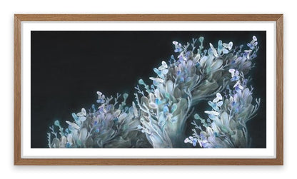 Coral me blue