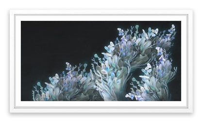 Coral me blue
