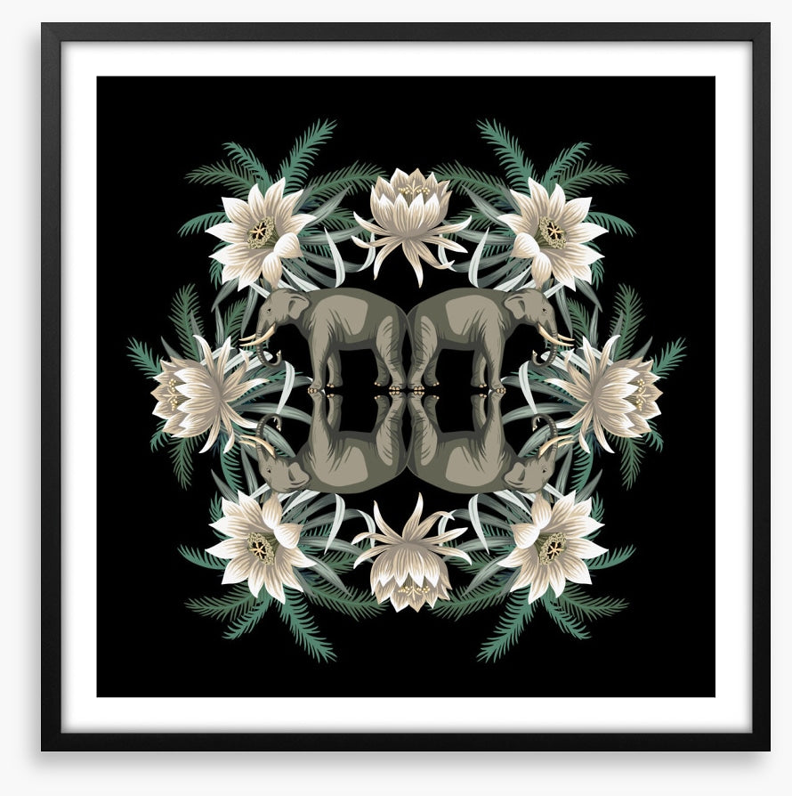 White lotus elephants
