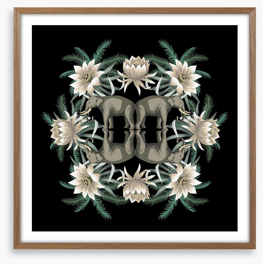 White lotus elephants
