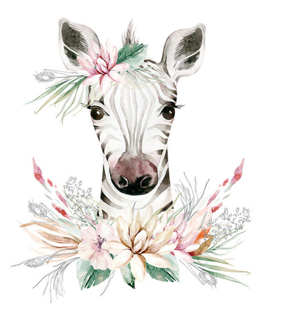 Little leafy zebra
