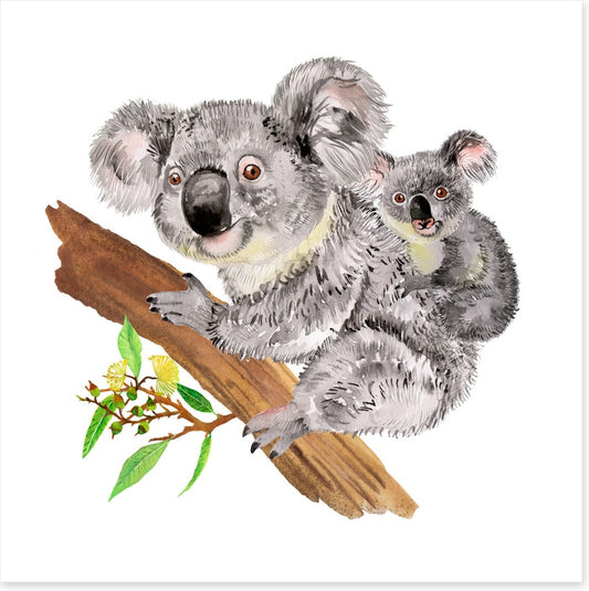 Koala ride