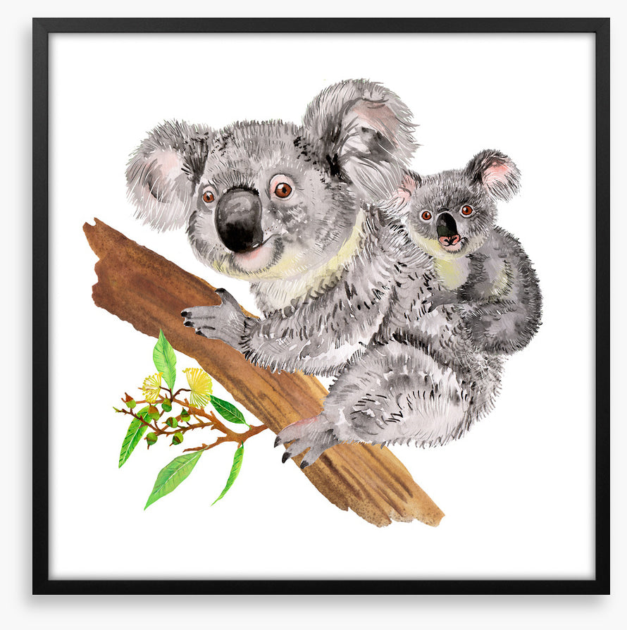 Koala ride