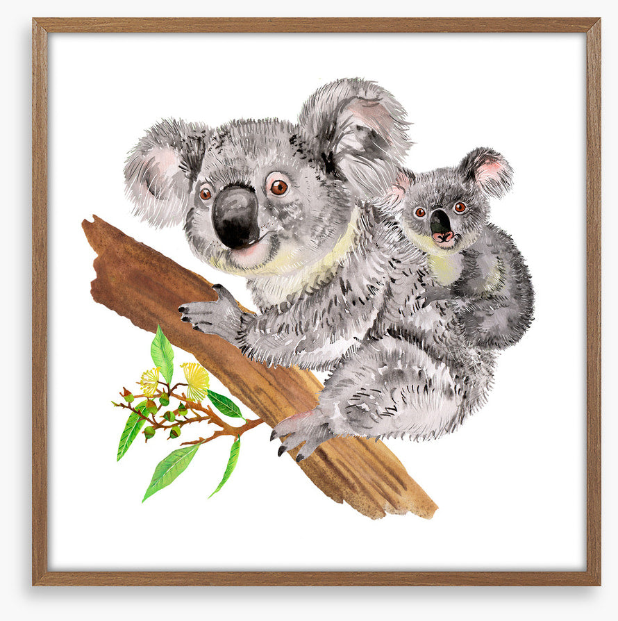 Koala ride
