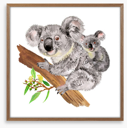Koala ride