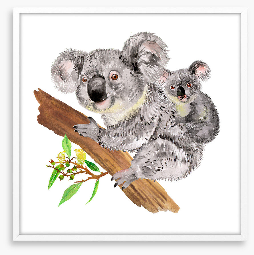 Koala ride