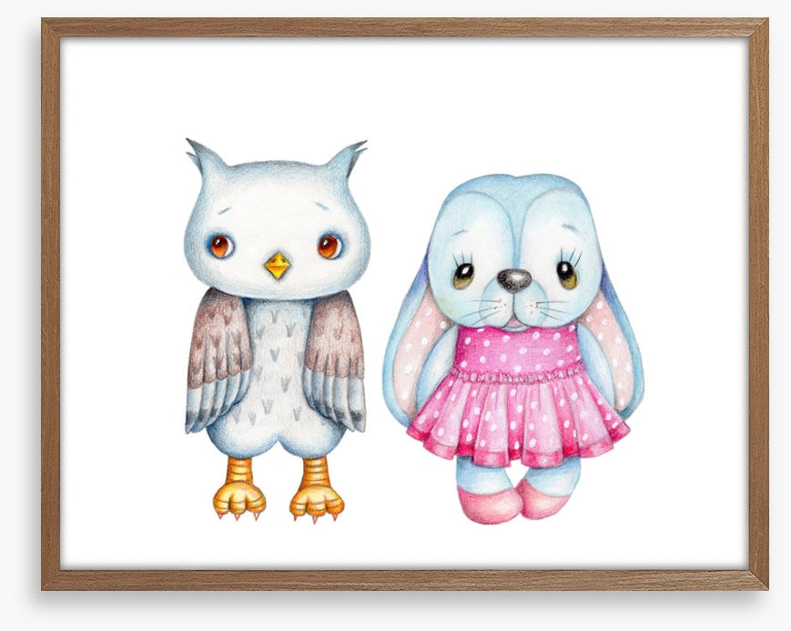 Owls