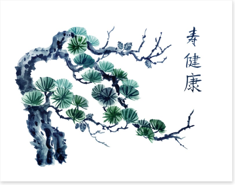 Mountain pine greens