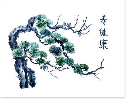 Mountain pine greens