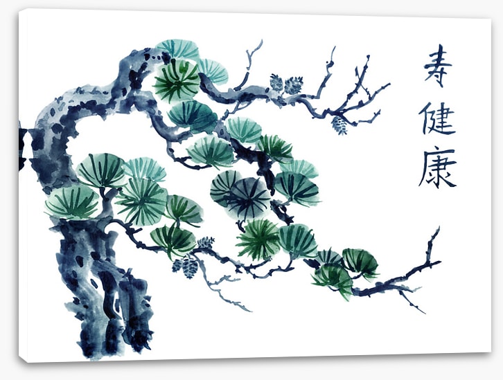Mountain pine greens
