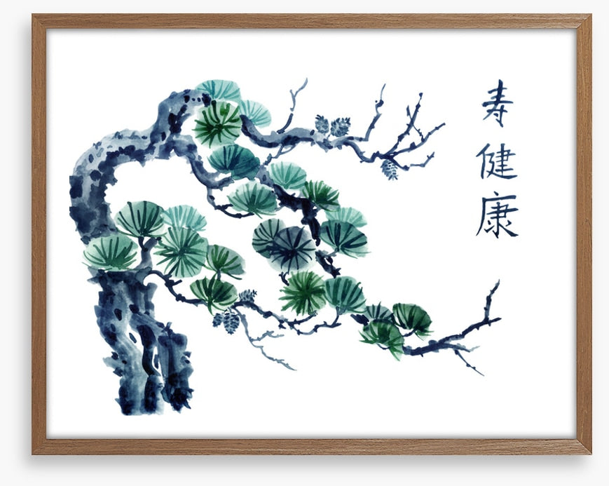 Mountain pine greens
