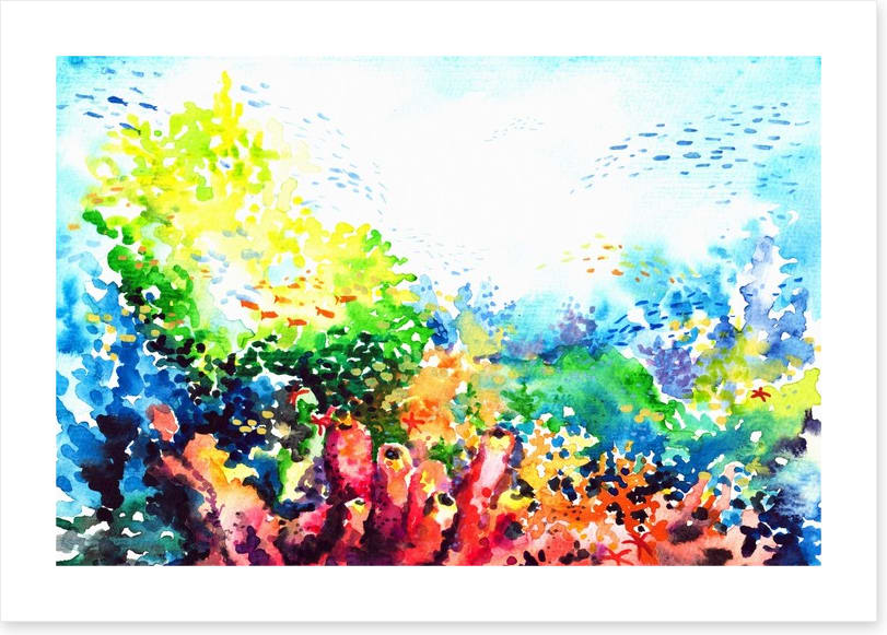 Colourful coral
