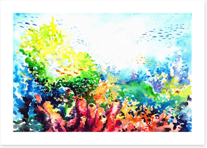 Colourful coral
