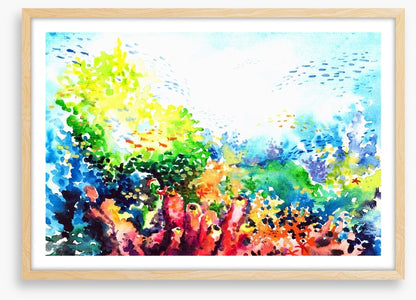 Colourful coral