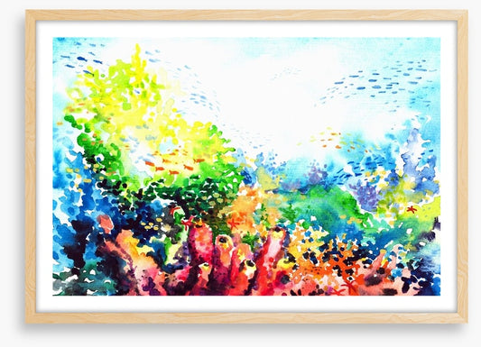 Colourful coral