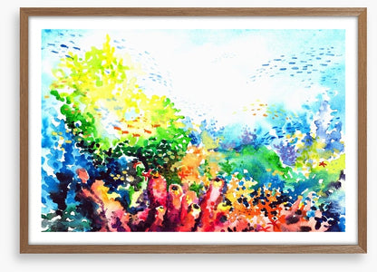 Colourful coral