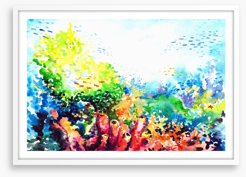 Colourful coral