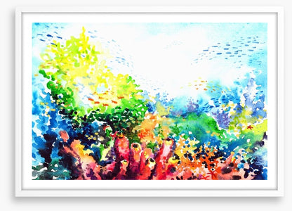 Colourful coral