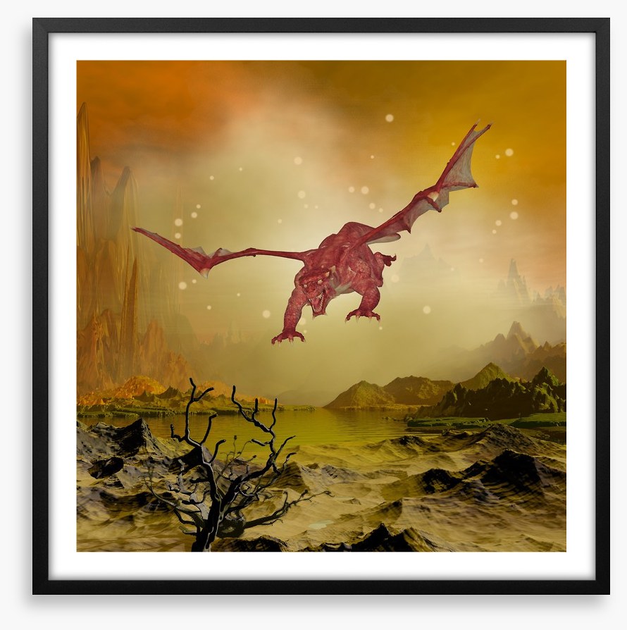Dragons