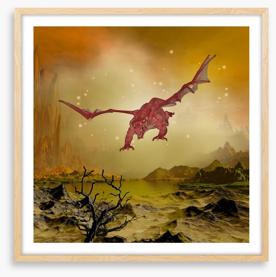 Dragons