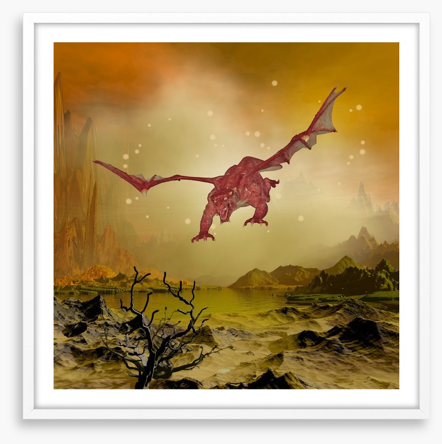 Dragons