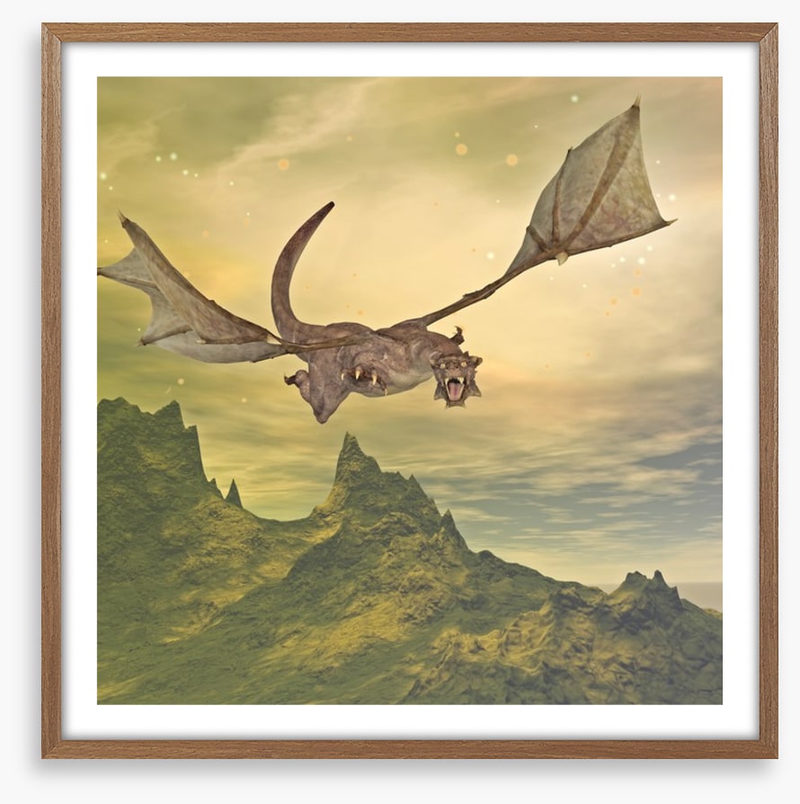 Dragons