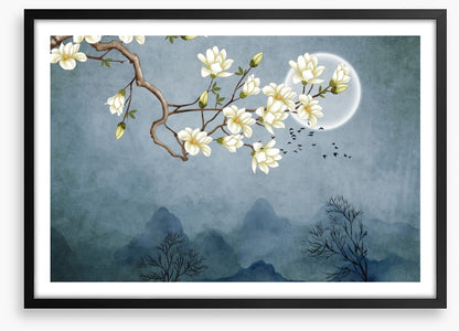 Magnolia moon