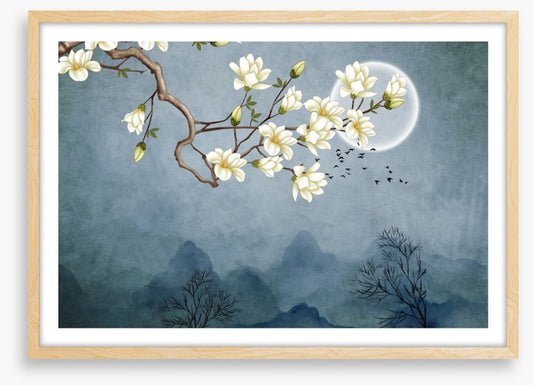 Magnolia moon