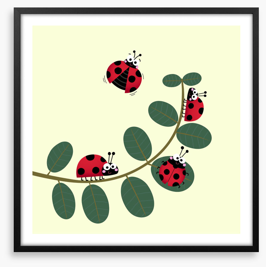 Ladybug leaves