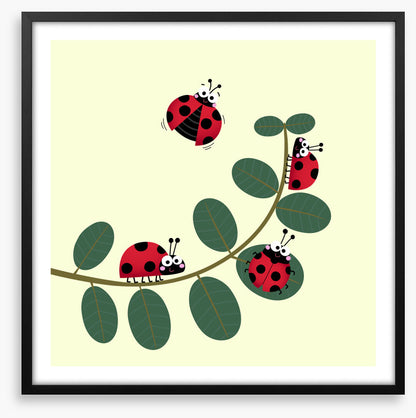 Ladybug leaves