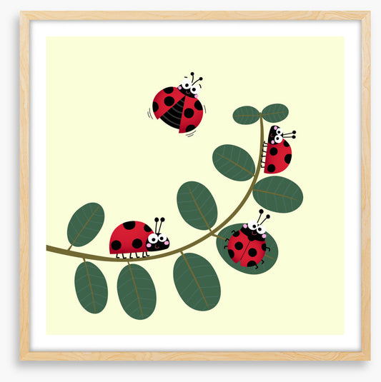 Ladybug leaves